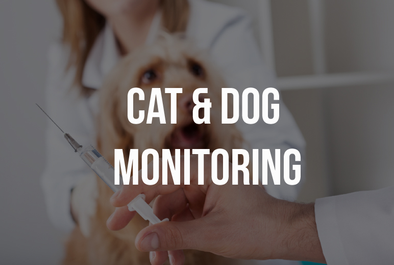 cat-dog-monitoring