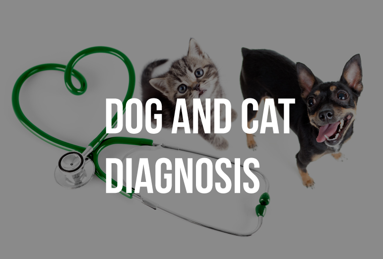 Pet Diagnosis