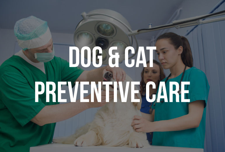 Pet Preventive Care