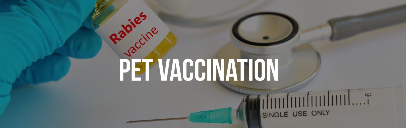 pet-vaccination-delhi