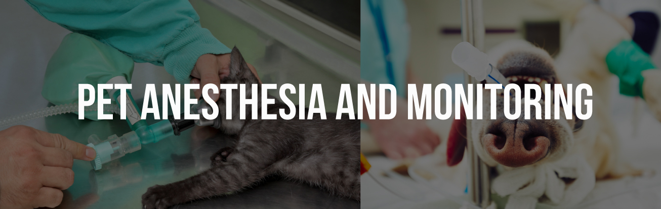 pet-anesthesia-monitoring