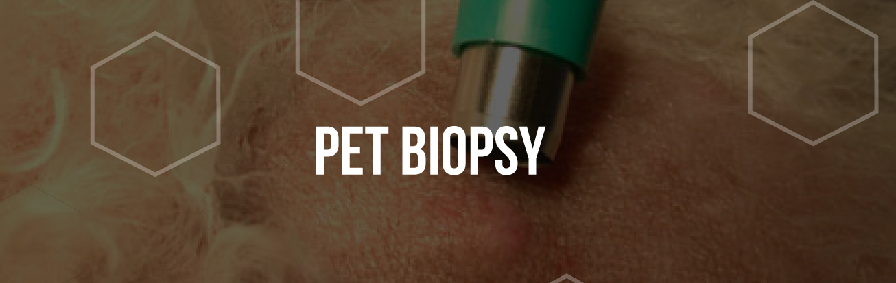 pet-biopsy