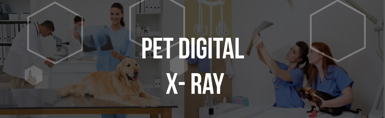 pet-digital-x-ray