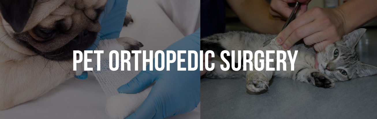 Pet-Orthopedic-Surgery