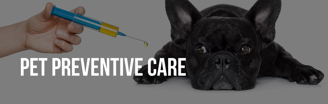 pet-preventive-care