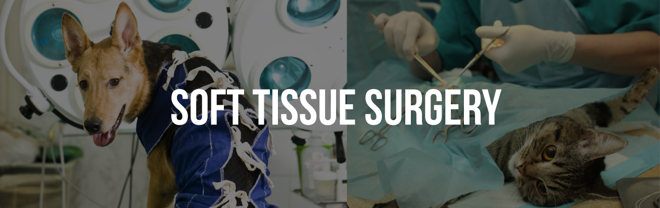 Soft-Tissue-Surgery