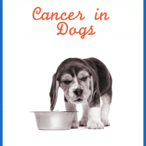 Cancer-in-Dogs