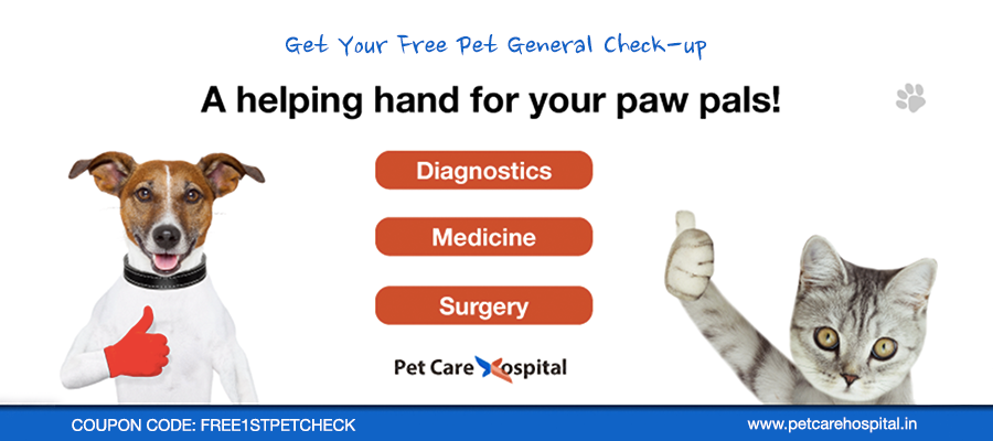 offer-pet-care-hospital