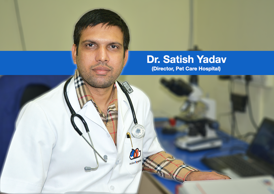 Dr Satish Yadav Pet Clinic Dwarka Veterinary Doctor Janak Puri Delhi